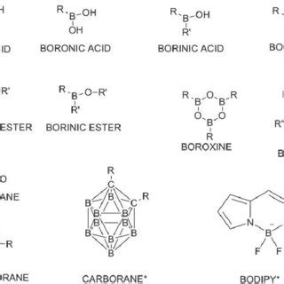 (PDF) Boron-containing compounds: Chemico-biological properties and expanding medicinal ...