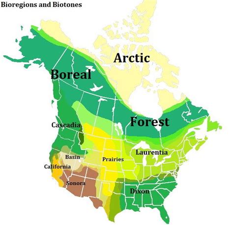 Bioregions and Biotones of North America | North america map, Biomes, American history timeline