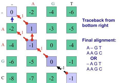 2.5: The Needleman-Wunsch Algorithm - Biology LibreTexts