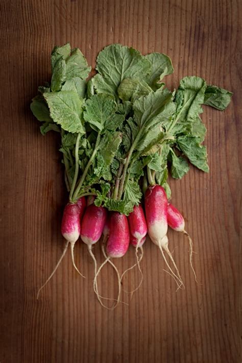 Growing and harvesting radish at home - Makergardener