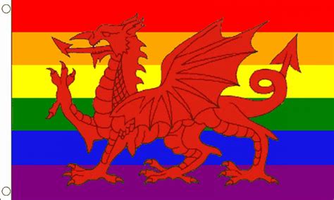 Rainbow Welsh Dragon Flag | Pride Flags | South Coast Flagpoles