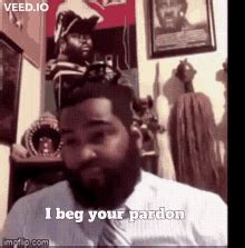 I Beg Your Pardon GIF - I Beg Your Pardon - Discover & Share GIFs