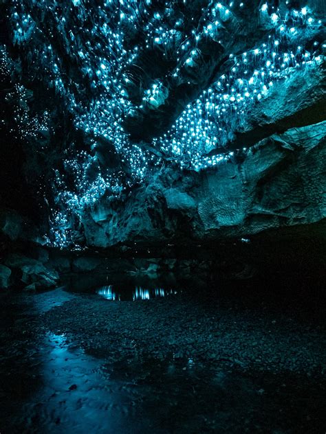 Glow Worm Cave New Zealand : Waitomo Glowworm Caves New Zealand - XciteFun.net : The waitomo ...