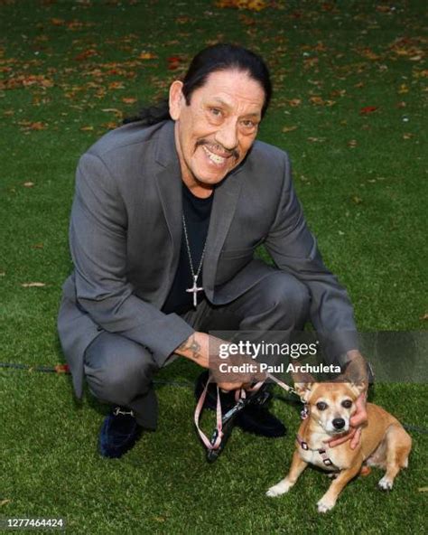 Danny Trejo Family Photos and Premium High Res Pictures - Getty Images