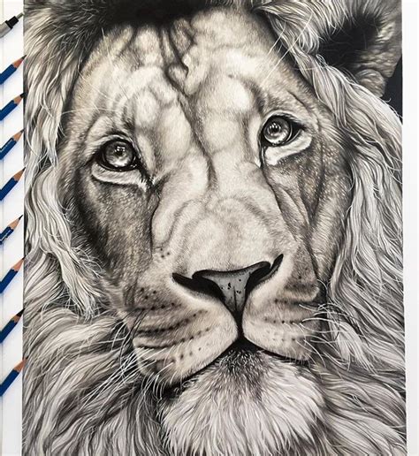 ART | The Most Amazing Art 🌎 on Instagram: “Insane Pencil Drawing by ...