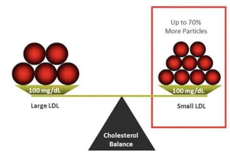 Biomedicines | Free Full-Text | Small Dense LDL: Scientific Background, Clinical Relevance, and ...