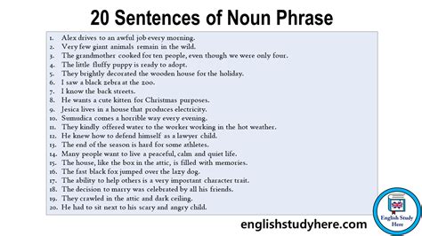 20 Sentences of Noun Phrase - English Study Here