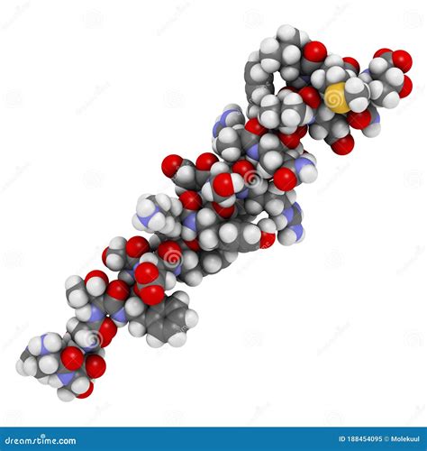 Glucagon Peptide Hormone. 3D Rendering. Has Blood Sugar Level ...