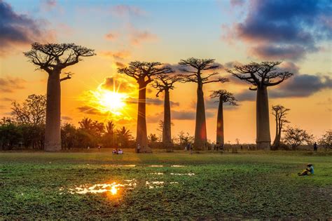 Guía para vivir en Madagascar