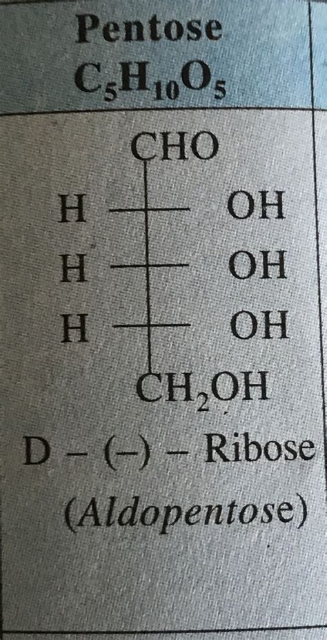 Pentose CzH,00, ÇHO H + OH H + OH H + OH CH,OH D- (-) – Ribose (Aldopentose)