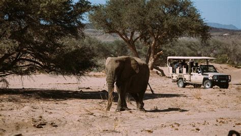 Damaraland in Namibia: Safaris & Travel Guide