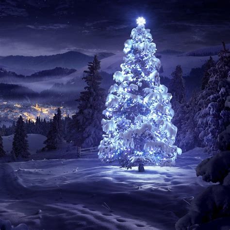 Purple Christmas Tree Wallpapers - Top Free Purple Christmas Tree ...