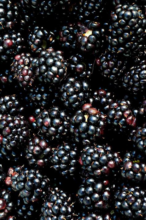 25 Black Fruits - The Ultimate List - My Vegan Minimalist