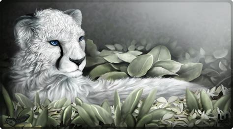 White Cheetah by charfade on DeviantArt