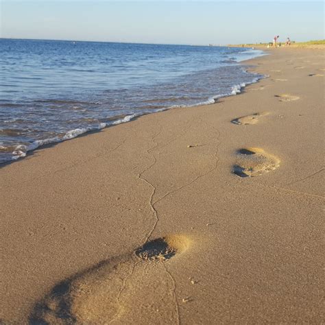 First Landing State Park - Other - Virginia Beach - Virginia Beach