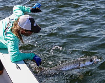 Florida Tarpon Fishing Report January 3rd, 2019 - Florida Tarpon ...