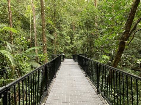 A Helpful Guide to the Mossman Gorge Walk | Mossman Gorge Swimming