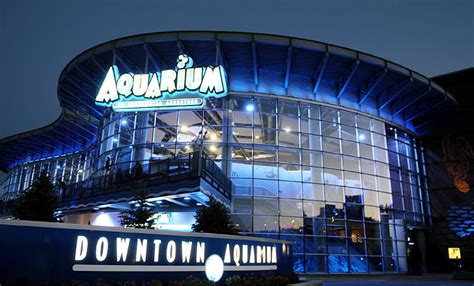 Downtown Aquarium - Denver, CO