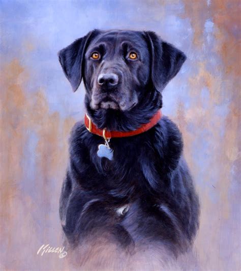 "Ebbie" Black Labrador Retriever Painting by Jim Killen