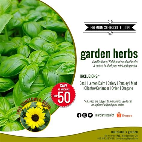 Garden Herbs Seeds Collection - Herb Garden Seeds Collection - Rare ...