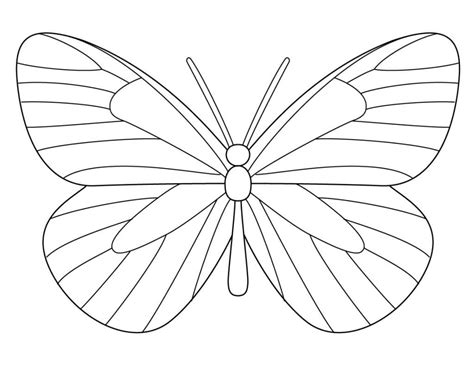 Line Drawing Of Butterfly / Esschert designs wooden butterfly house helps butterflies pollinate ...