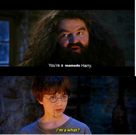 You're A Wizard Harry Quote : Wizard From Harry Potter Quotes ...