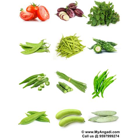 Vegetable Seeds - 12 Varieties - Basic Combo