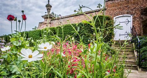 Madingley Hall Gardens | Madingley Hall