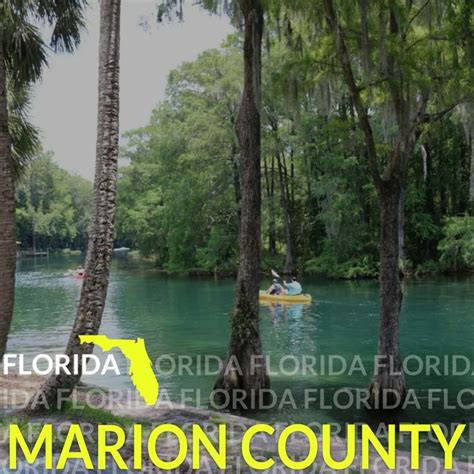 Marion county florida – Artofit