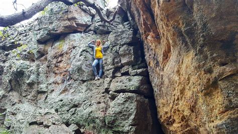 Mineral Wells State Park in Texas | Texas state parks, Mineral wells state park, State parks