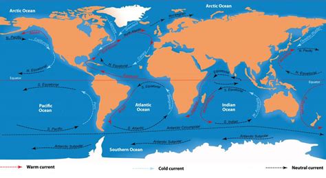 What is the Great Pacific Garbage Patch? (with pictures)