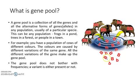 What is gene pool. Lesson 16: Genetic Resources and Conservation - YouTube