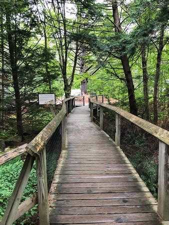 Squam Lakes Natural Science Center (Holderness) - 2019 All You Need to ...