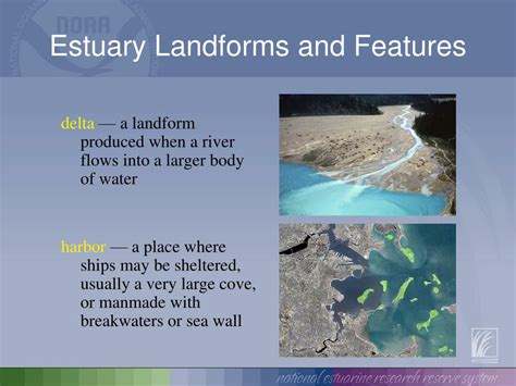 PPT - Estuary Landforms and Features PowerPoint Presentation - ID:310186