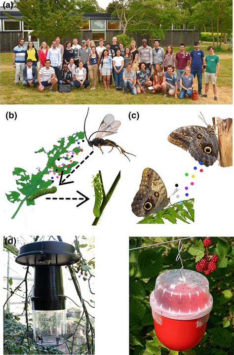 a Insect chemical ecology PhD course participants and organizers at the... | Download Scientific ...