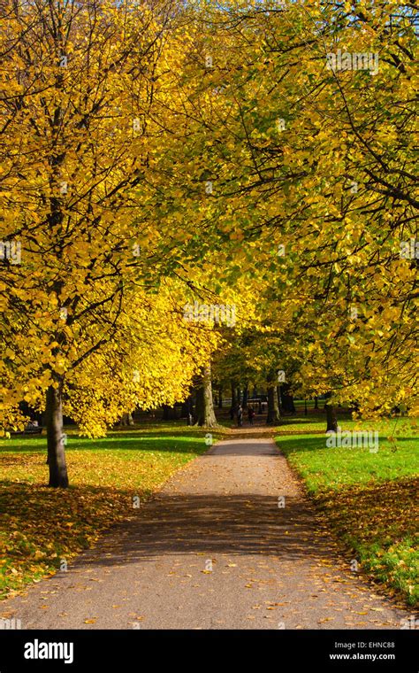 Autumn in London Stock Photo - Alamy