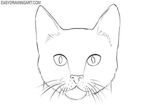 How to Draw a Cat Face - Easy Drawing Art