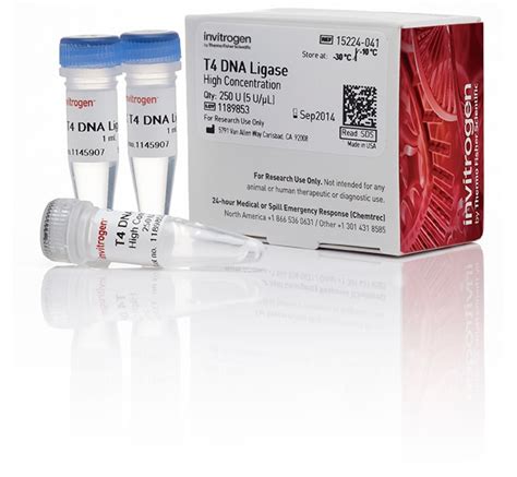 Invitrogen T4 DNA Ligase (5 U/ L) 250 units:Enzymes and Inhibitors, Quantity: | Fisher Scientific