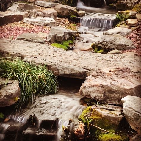 Bridge over Beautiful Waters | Koi pond, Water garden, Pond