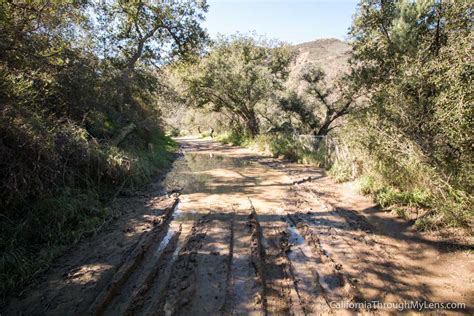 Black Star Canyon Falls: One of Southern California's Best & Most Elusive Waterfall - California ...