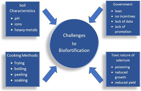 Selenium Biofortification: Strategies, Progress and Challenges