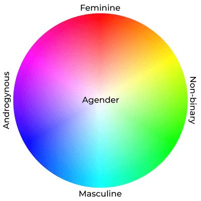 Gender Id Chart Gender Spectrum Explained Free Transparent Png | My XXX ...