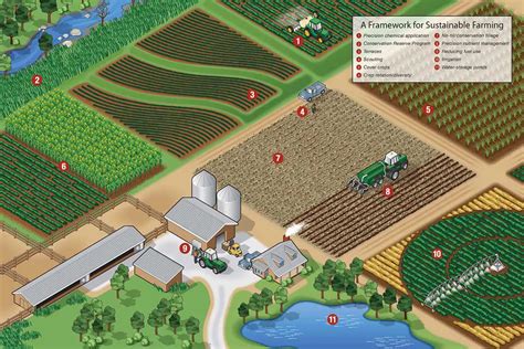 10 Best Sustainable Farming Methods! | Environment Buddy