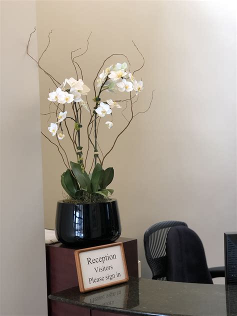 office plants plants silk trees fake plants office decor offices silk thumb - Silk Thumb