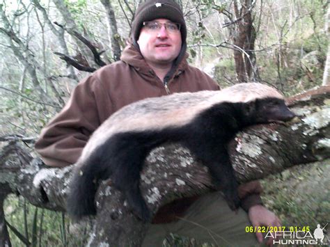 South Africa Hunting African Honey Badger | AfricaHunting.com