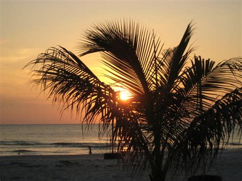 THE 15 BEST Things to Do in Indian Shores - 2022 (with Photos) - Tripadvisor