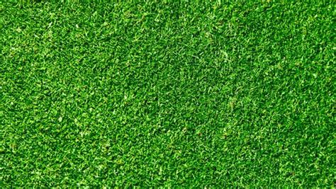 free patterns and textures - Google Search | Grass textures, Grass background, Grass vector