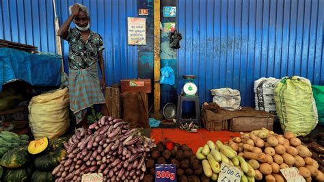 Sri Lanka’s Plunge Into Organic Farming Brings Disaster - The New York Times