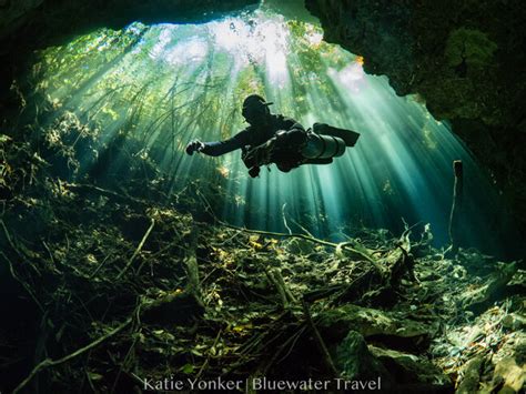 Cenotes Diving - Bluewater Dive Travel