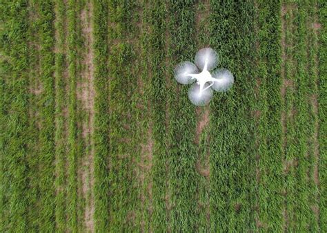 Sensors, Networks Enable Precision Agriculture - EE Times